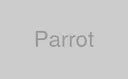 Parrot
