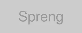 Logo de la marque Spreng